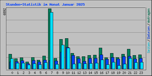 Stunden-Statistik im Monat Januar 2025